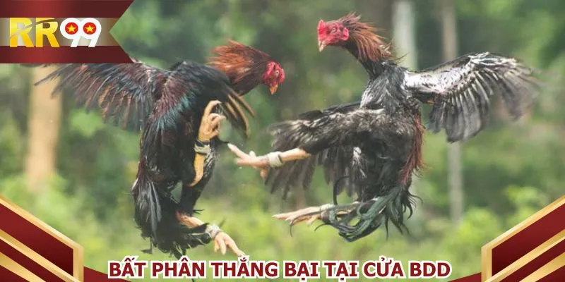Bất phân thắng bại tại cửa BDD